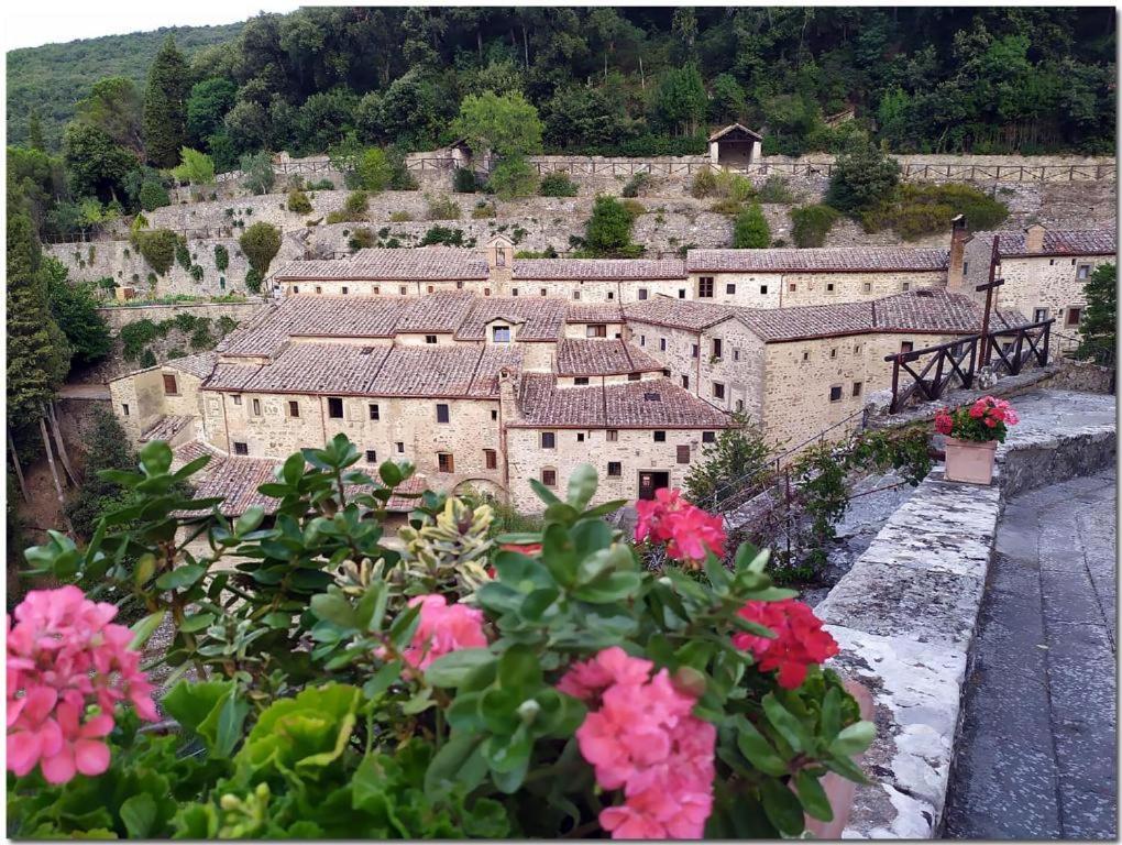 Vila Fattoria Le Giare Agriturismo Cortona Exteriér fotografie