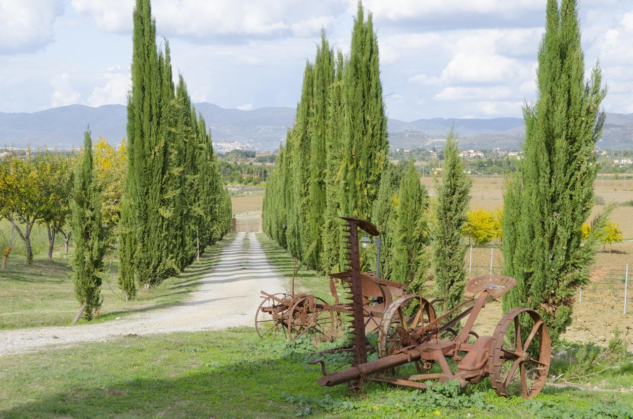 Vila Fattoria Le Giare Agriturismo Cortona Exteriér fotografie